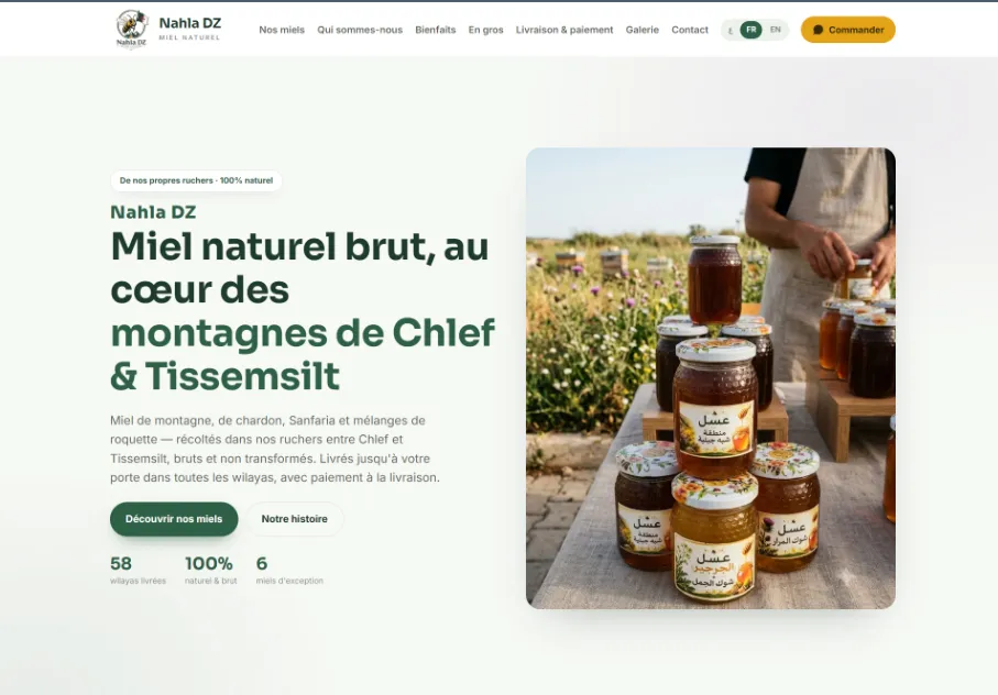 Aperçu du projet nahladz.com